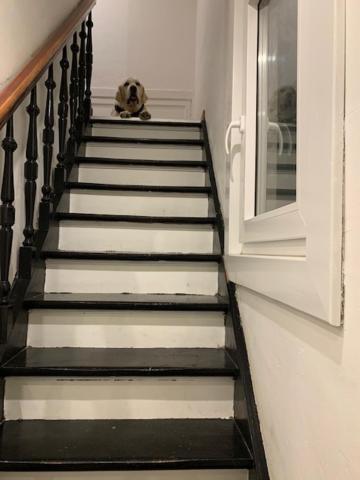 Hotel De Backer Knokke-Heist Esterno foto